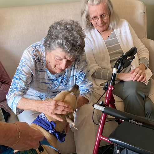 seniors playing with service dog