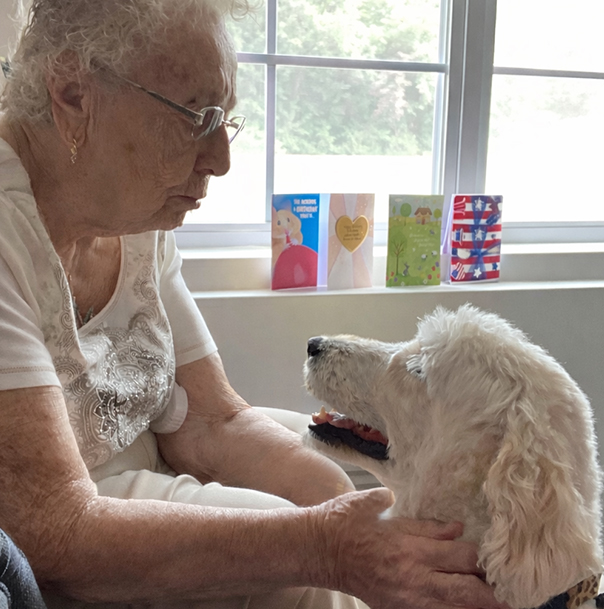 montourville therapy  dog